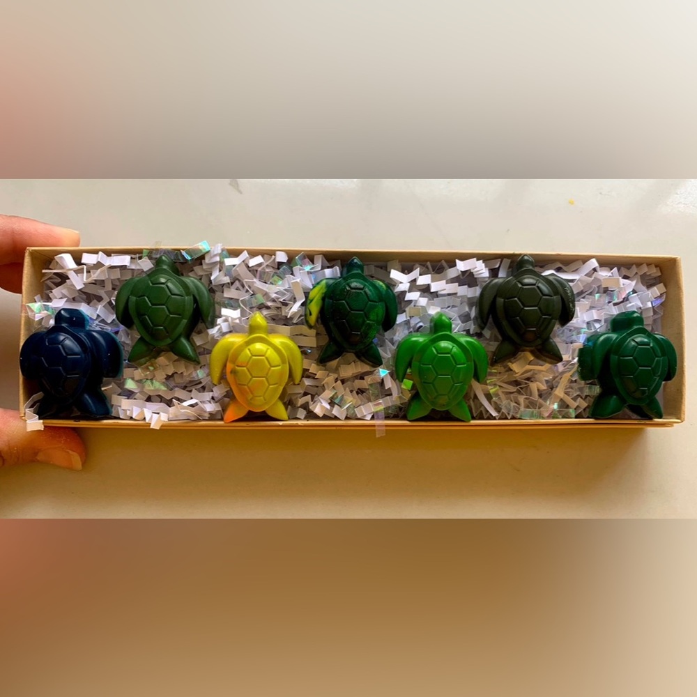 Custom Turtle Crayons